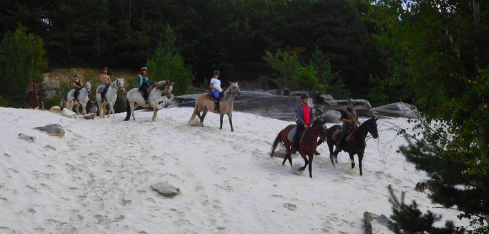 Week-end à cheval en forêt de Fontainebleau, Yoga & Spa - Caval&go