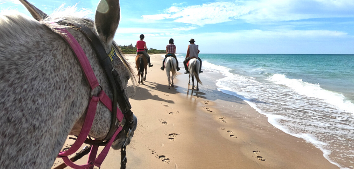 Randonnée à cheval itinérante au Sénégal dans la région du Sine Saloum - Caval&go