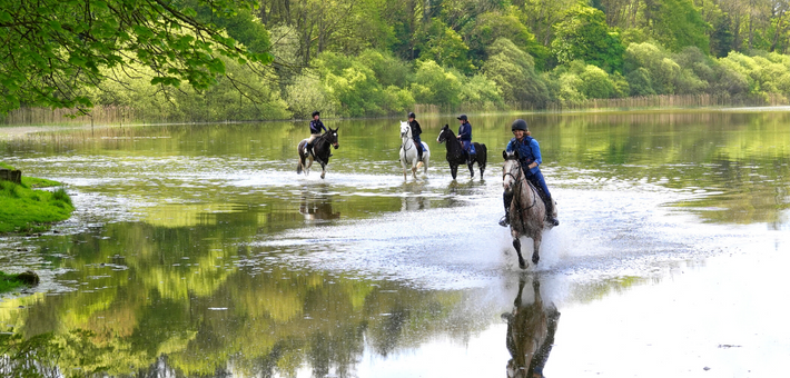 Séjour équestre de charme et balades au château en Irlande - Caval&go