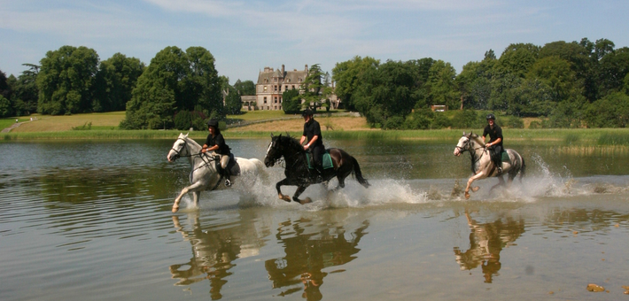 Stage équestre et disciplines de CCE au château en Irlande - Caval&go