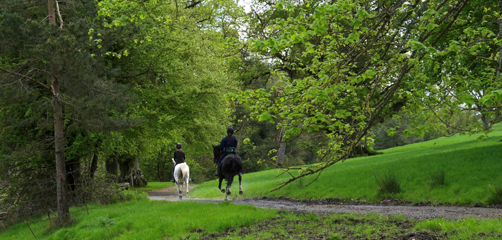 Stage équestre et disciplines de CCE au château en Irlande - Caval&go