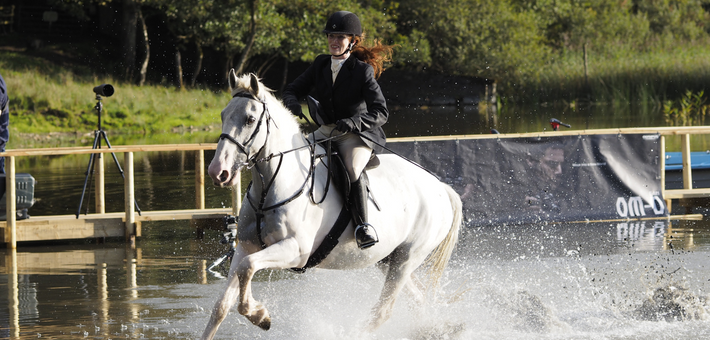 Stage équestre et disciplines de CCE au château en Irlande - Caval&go