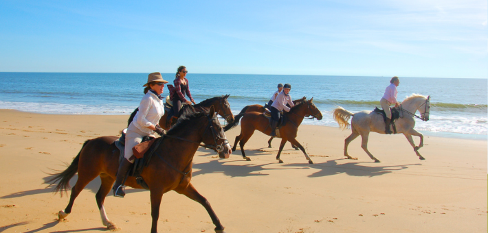 Randonnée équestre au cœur de la Réserve de Doñana en Andalousie - Caval&go