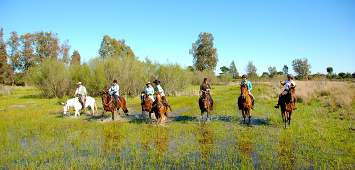 Randonnée équestre au cœur de la Réserve de Doñana en Andalousie - Caval&go
