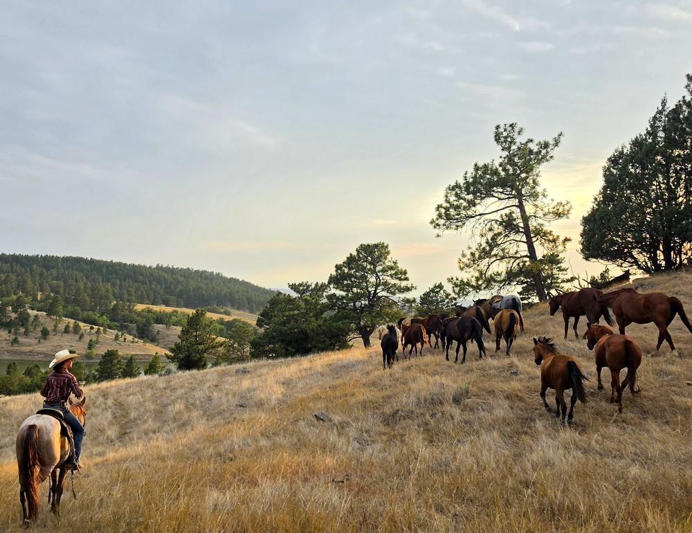 À la conquête du Far West : séjour en immersion chez les cow-boys du Wyoming