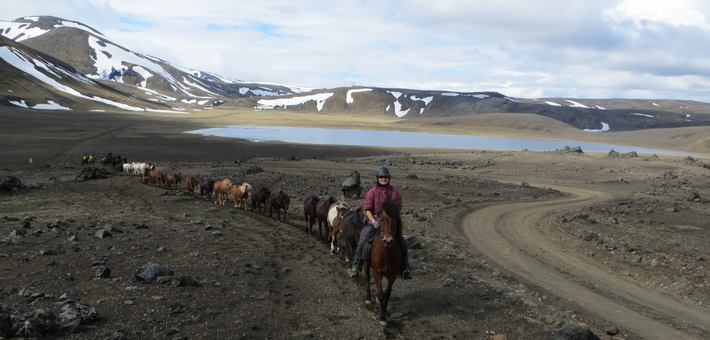 Randonnée équestre dans les terres volcaniques du Landmannalaugar, Islande - Caval&go