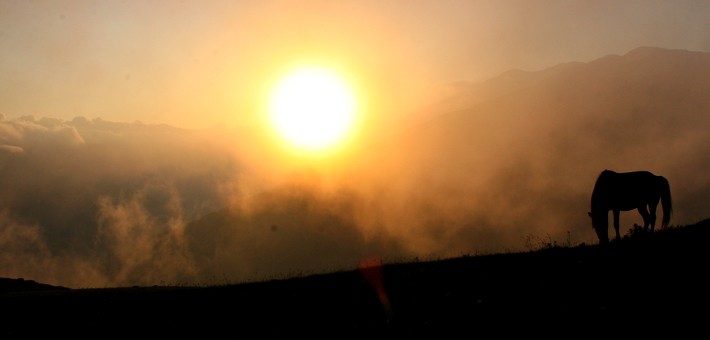 Randonnée équestre en Géorgie sur les sentiers de Touchétie - Caval&go