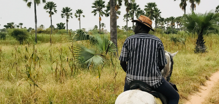 Randonnée à cheval itinérante au Sénégal dans la région du Sine Saloum - Caval&go