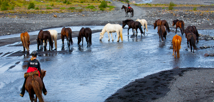 Randonnée équestre dans la vallée de Thórsmörk en Islande - Caval&go