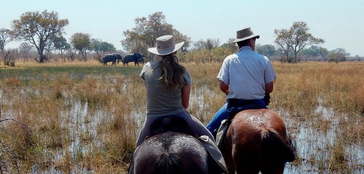 Jours 3 à 8. Safari à cheval dans le delta de l'Okavango