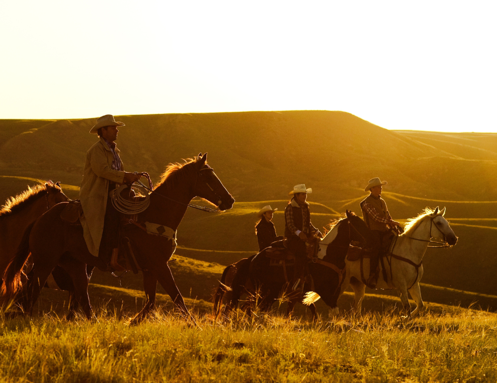 Stage équitation western et séjour western en France et en Amériques -  Caval&go