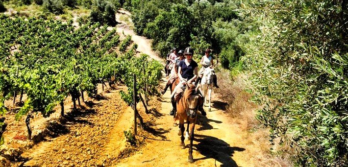 Jour 6. Au cœur de la campagne portugaise 