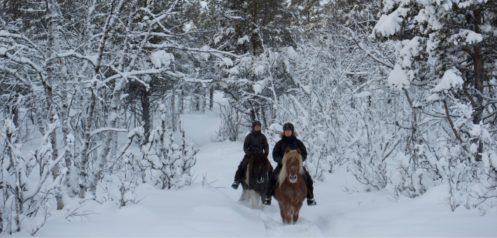 Jour 6. Balade à cheval et leçon d'équitation islandaise
