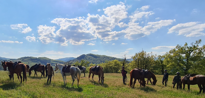 Escapade châtaigne et châteaux au cœur de l’Ardèche - Caval&go