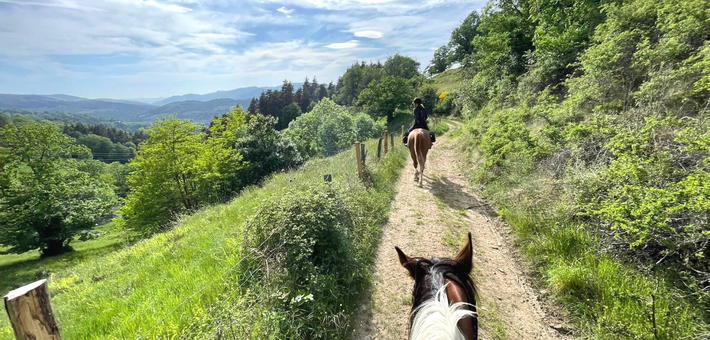 Escapade châtaigne et châteaux au cœur de l’Ardèche - Caval&go