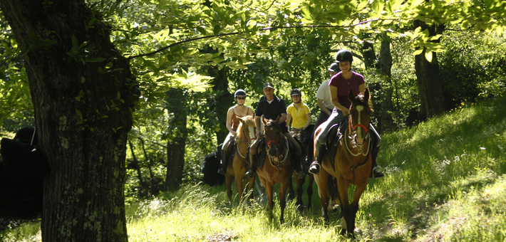 Escapade châtaigne et châteaux au cœur de l’Ardèche - Caval&go