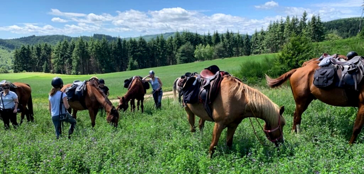 Randonnée à cheval, Monts, Lacs et plateaux ardéchois - Caval&go