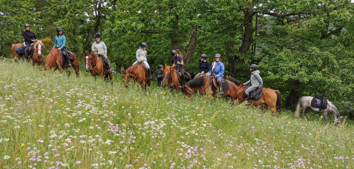 Randonnée à cheval, Monts, Lacs et plateaux ardéchois - Caval&go