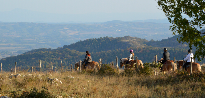 Séjour bien-être en Toscane entre cheval et yoga - Caval&go