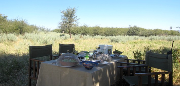Jour 8. Randonnée et safari à cheval - Pique-nique dans le bush