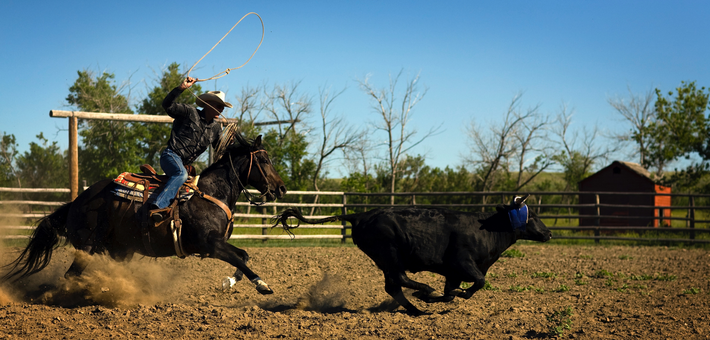 Séjour immersif en ranch dans le Saskatchewan, Canada - Caval&go