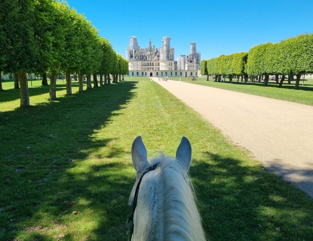 Week-end à cheval dans la Loire : un jour, un château 