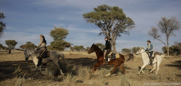 Jour 3. Safari à cheval - Entraînement à l’endurance 