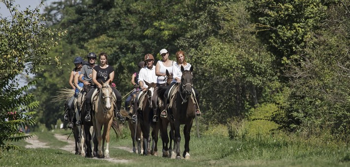 Jour 2. Rencontre avec nos chevaux & visite