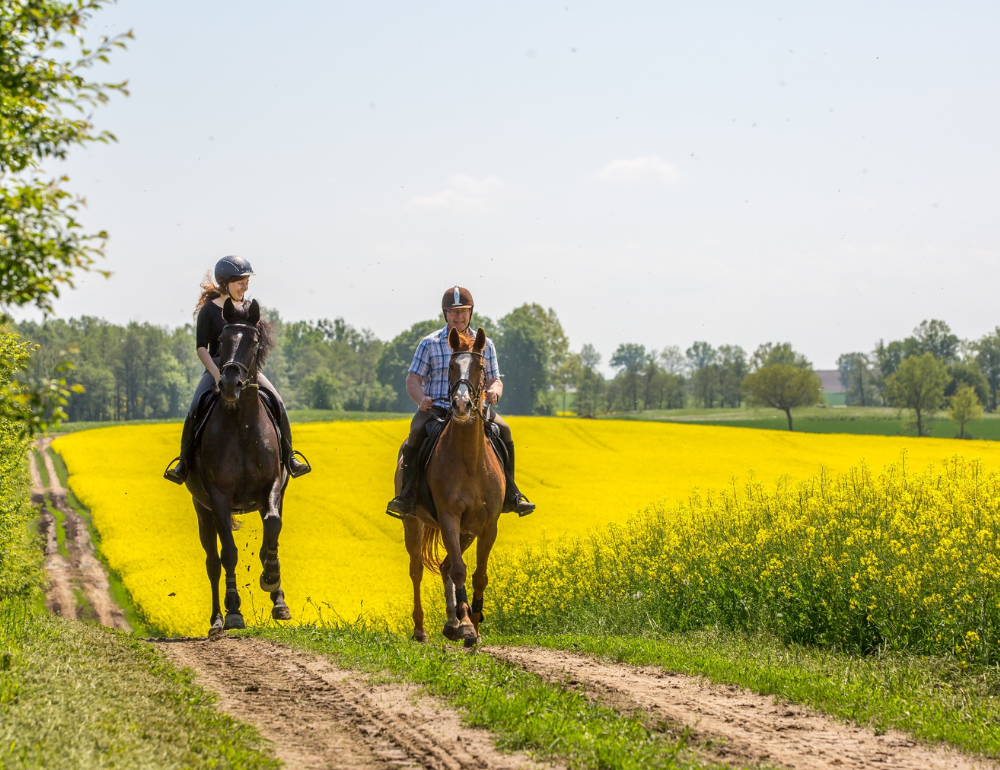 Randonnée équestre et séjour de charme en Pologne