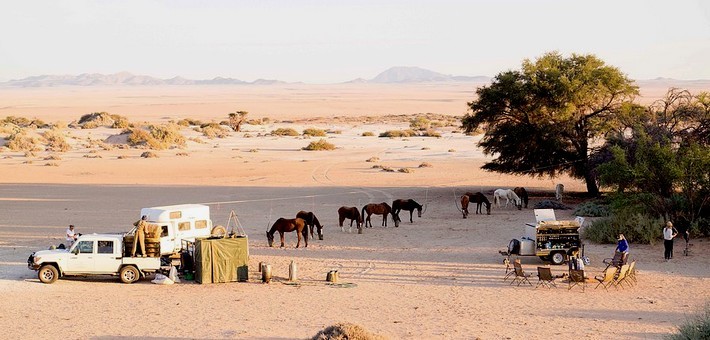 Jour 10. Randonnée à cheval dans le désert du Namib - Vallée de la Lune