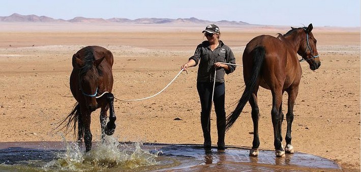 Jour 7. Randonnée à cheval dans le désert du Namib