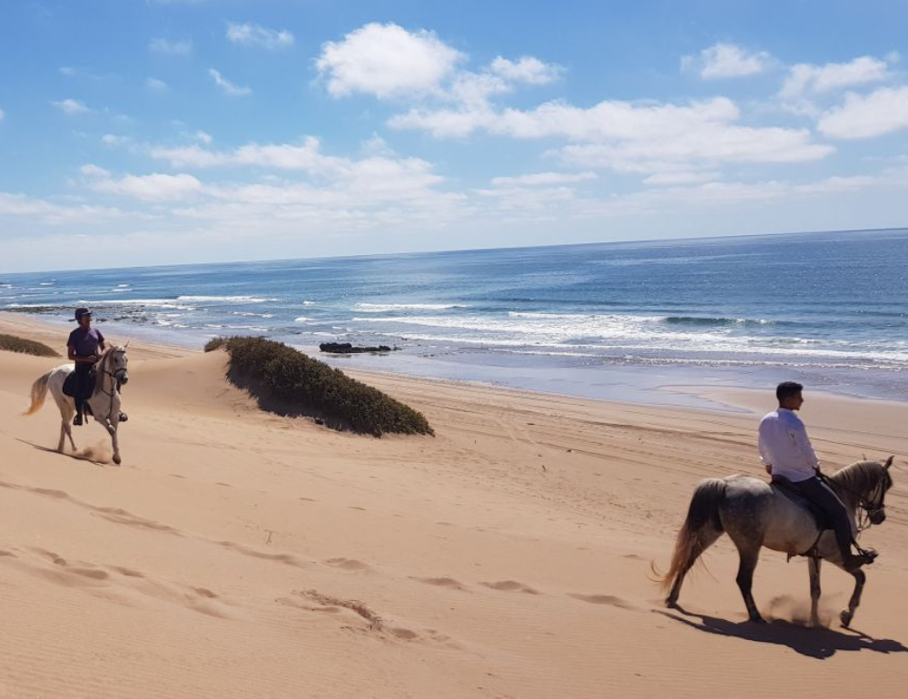 Nos conseils pour monter à cheval à la plage