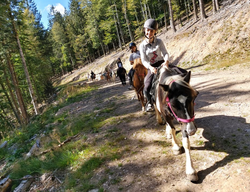 Séjour équestre jeunes pour les 9/17 ans cheval et sport en Alsace