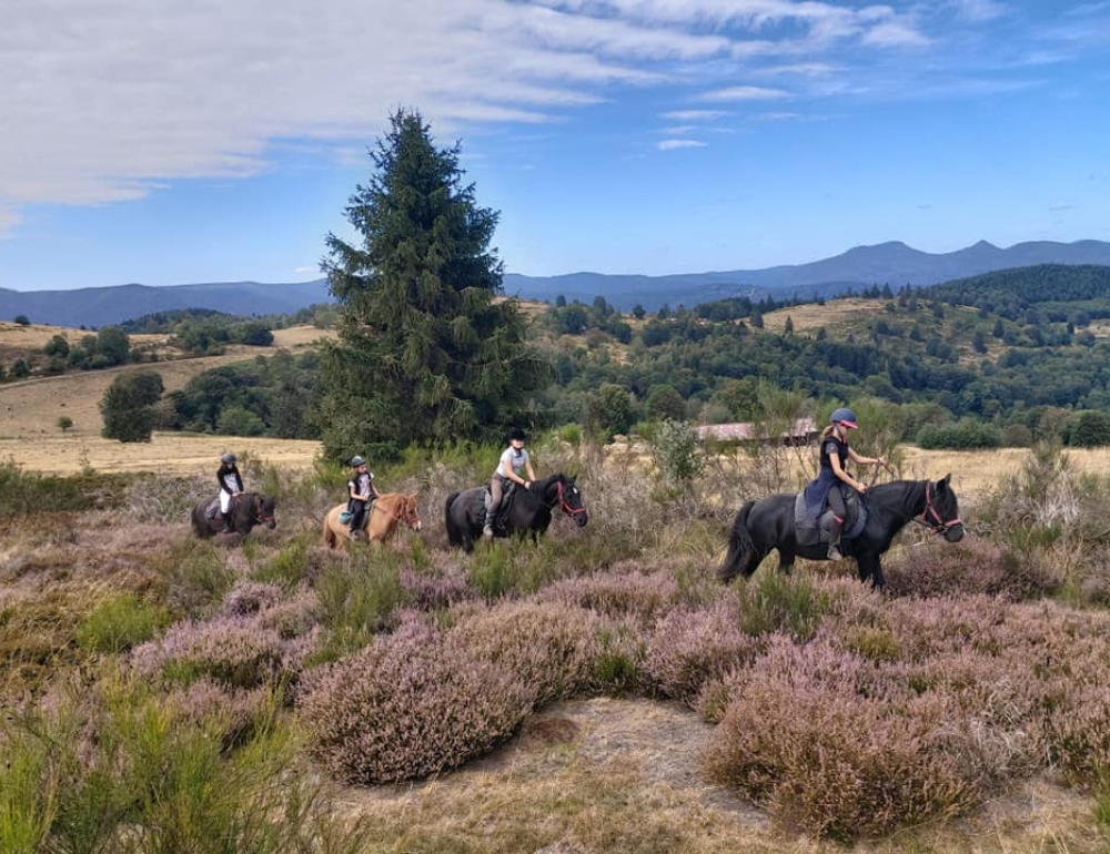 Séjour équestre jeunes pour les 6/17ans cheval et nature en Alsace