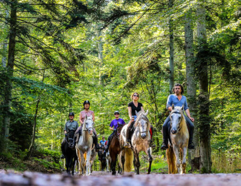 Randonnée à cheval à la découverte des montagnes alsaciennes et de leurs légendes