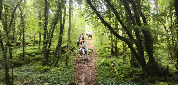 Jour 7. Monthoiron - Saint-Sauveur - Usseau 