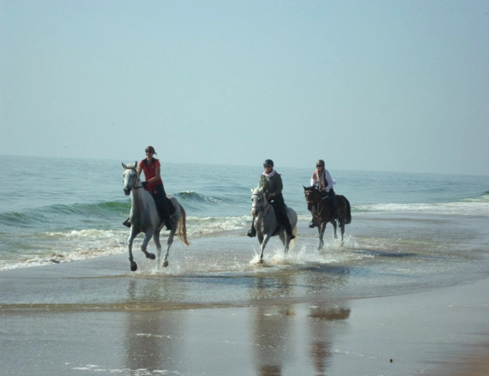 Randonnée équestre à Oman sur les traces de Sindibad