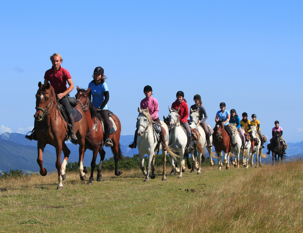 Stage d'équitation dans le Parc du Vercors 11/17 ans 
