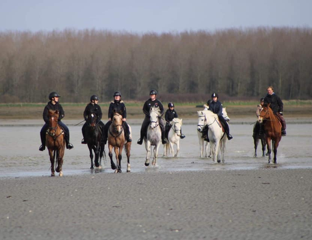 Randonnée à cheval pour enfant et adolescent en Ardèche