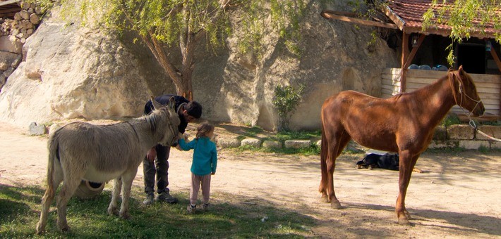 Jour 2. Lundi : Ortahisar - Activité à la ferme - Balade à cheval