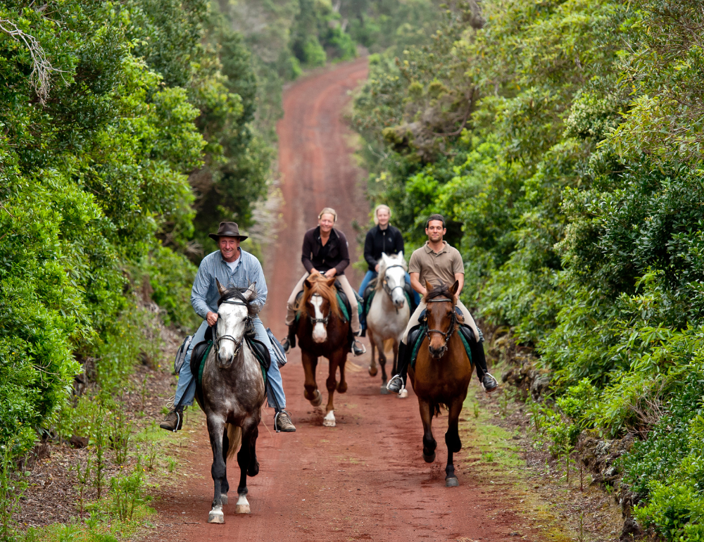 Randonnée à cheval sur l'Archipel des Açores