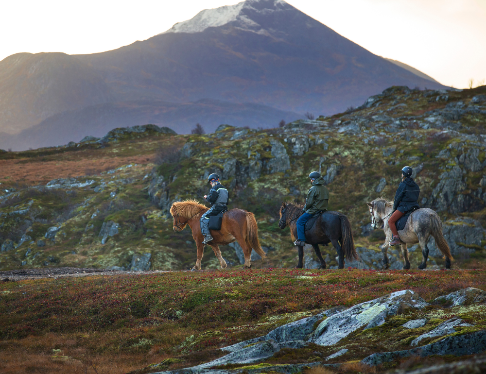 Randonnée à cheval dans les îles Lofoten en Norvège