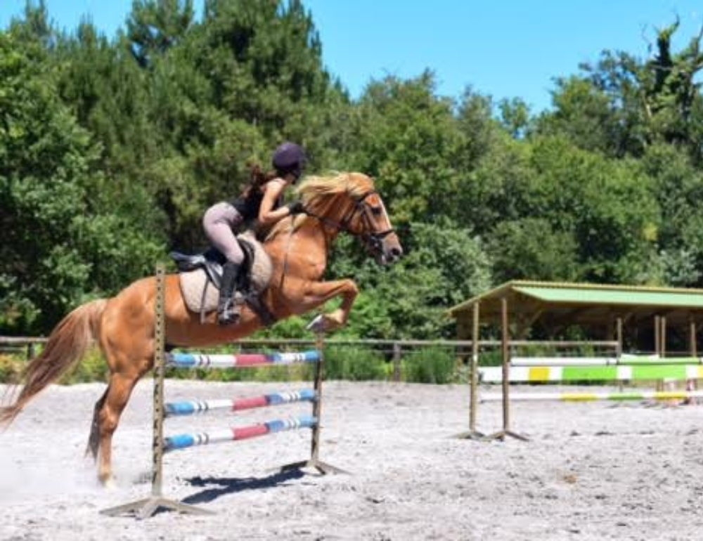Séjour linguistique à cheval pour ados (12-18 ans) sur la Côte Atlantique