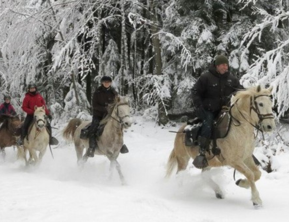 Week-end à cheval dans la neige, aux portes du Jura