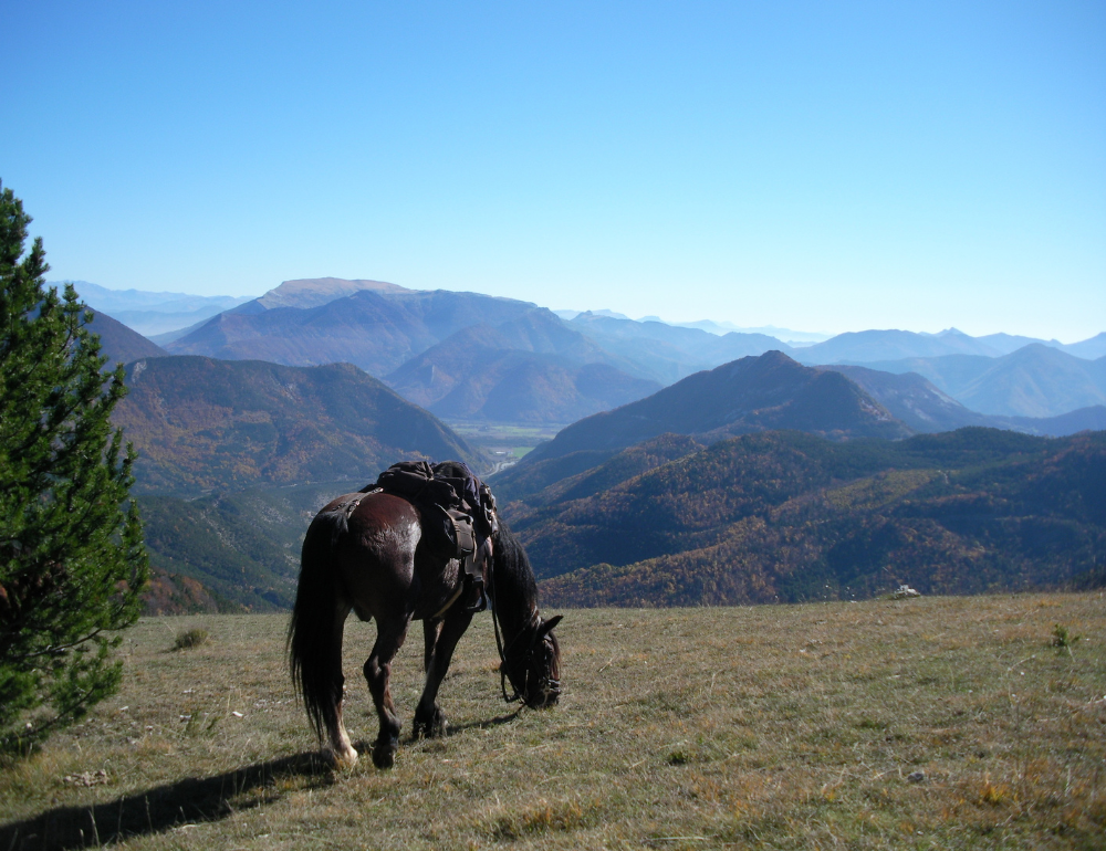 Randonnée équestre dans les Alpes, aux portes du Dévoluy