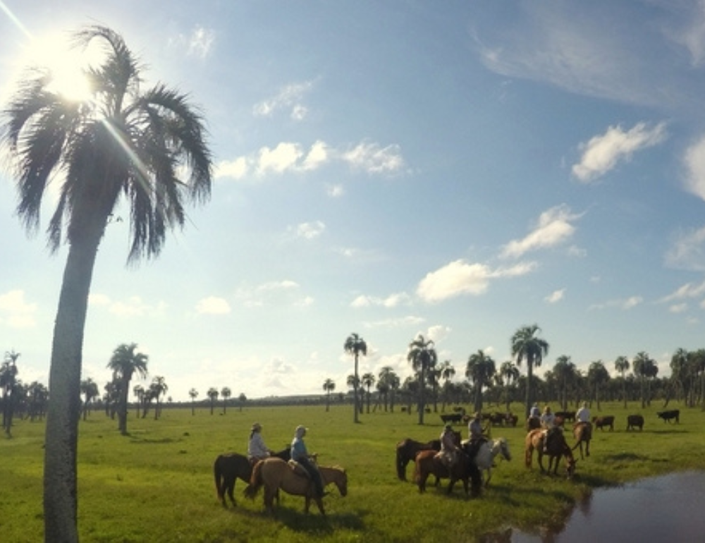 Randonnée à cheval avec les gauchos sur la côte sauvage uruguayenne