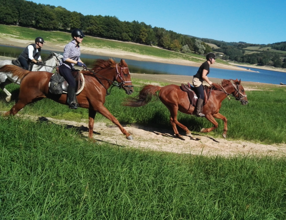 Randonnée à cheval sportive en Bourgogne dans le Morvan