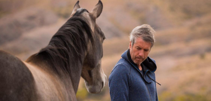 Stage avec Jean-François Pignon : Travail en liberté avec votre cheval - Caval&go