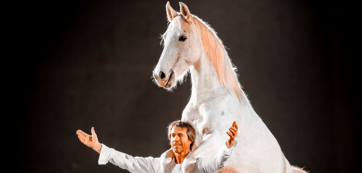 Stage avec Jean-François Pignon : Travail en liberté avec votre cheval - Caval&go