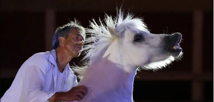 Stage avec Jean-François Pignon : Travail en liberté avec votre cheval - Caval&go